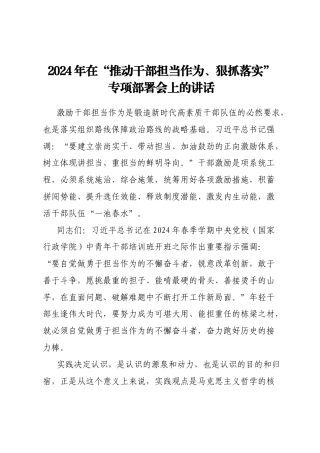 2024年在“推动干部担当作为、狠抓落实”专项部署会上的讲话
