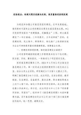 经验做法：构建问题系统解决机制，高质量推进按纲抓建