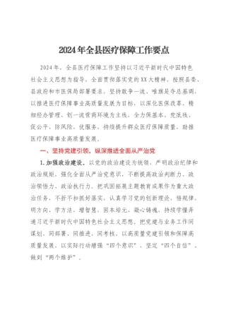 2024年全县医疗保障工作要点