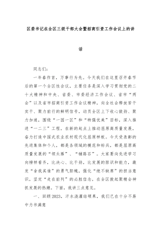 区委书记在全区三级干部大会暨招商引资工作会议上的讲话