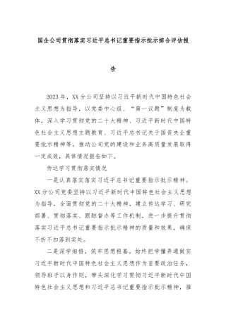 国企公司贯彻落实习近平总书记重要指示批示综合评估报告