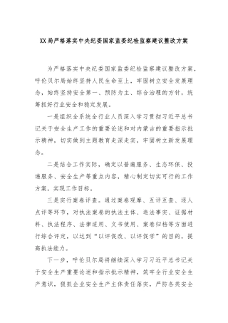 XX局严格落实中央纪委国家监委纪检监察建议整改方案