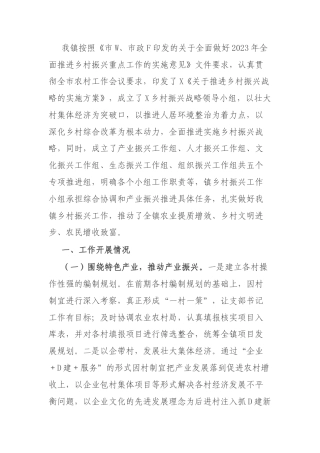 推进乡村振兴战略情况工作总结