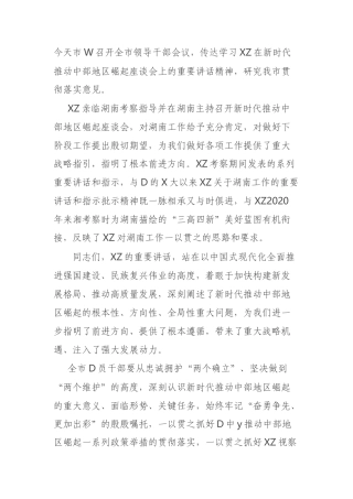 2024年在市委传达学习“XZ在新时代推动中部地区崛起座谈会上的重要讲话”的发言