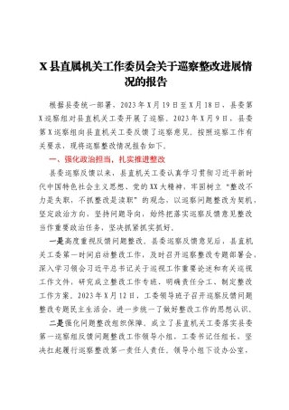 X县直属机关工作委员会关于巡察整改进展情况的报告