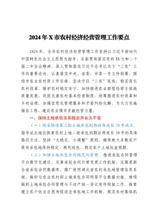 2024年X市农村经济经营管理工作要点