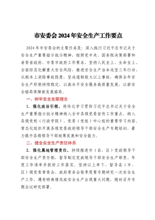 市安委会2024年安全生产工作要点