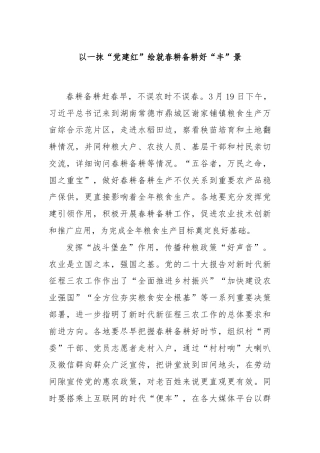 以一抹“党建红”绘就春耕备耕好“丰”景
