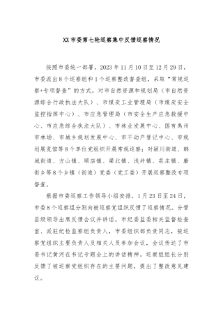 XX市委第七轮巡察集中反馈巡察情况