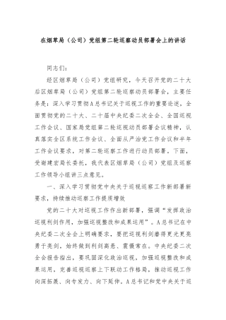 在烟草局（公司）党组第二轮巡察动员部署会上的讲话