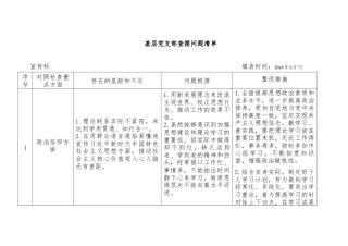 基层党支部查摆问题清单