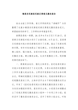 镇落实巡察组巡察反馈意见整改报告
