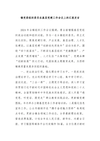 镇党委组织委员在基层党建工作会议上的汇报发言