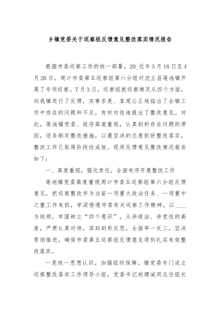 乡镇党委关于巡察组反馈意见整改落实情况报告