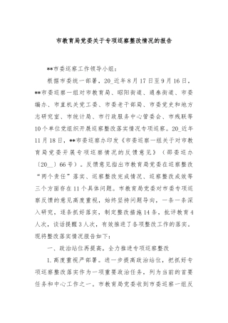 市教育局党委关于专项巡察整改情况的报告