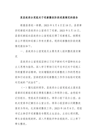 某县政府办党组关于巡察整改阶段进展情况的报告