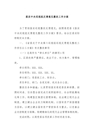 落实中央巡视组反馈意见整改工作方案