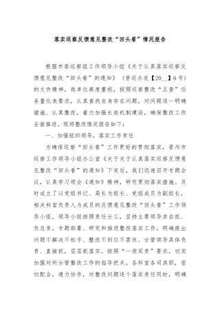 落实巡察反馈意见整改“回头看”情况报告