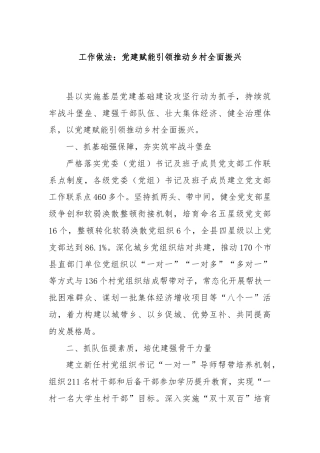 工作做法：党建赋能引领推动乡村全面振兴