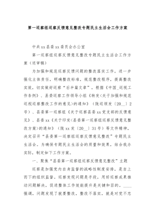 第一巡察组巡察反馈意见整改专题民主生活会工作方案