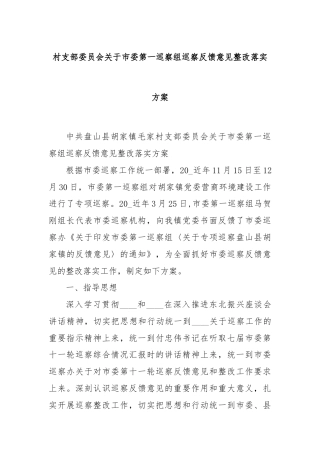 村支部委员会关于市委第一巡察组巡察反馈意见整改落实方案