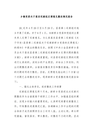 乡镇党委关于落实巡察组反馈意见整改情况报告