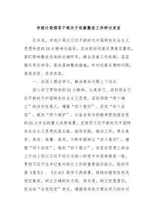市统计局领导干部关于巡察整改工作研讨发言