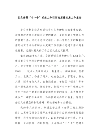 扎实开展“小个专”党建工作引领高质量发展工作报告