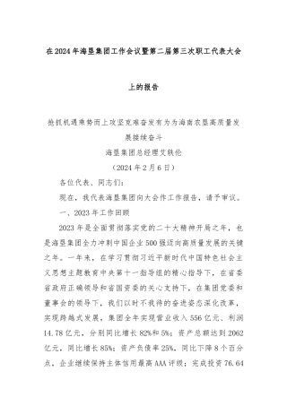在2024年海垦集团工作会议暨第二届第三次职工代表大会上的报告
