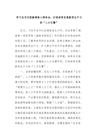 学习总书记视察湖南心得体会：打造培育发展新质生产力的“人才引擎”