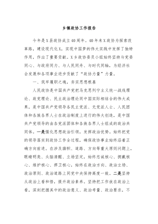 乡镇政协工作报告