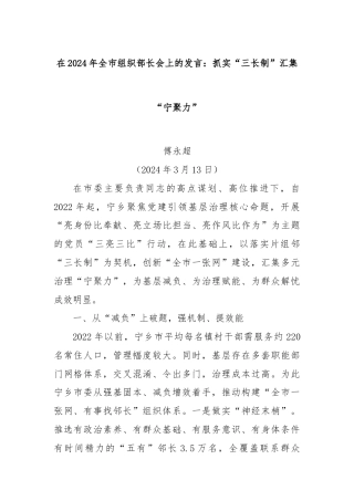 在2024年全市组织部长会上的发言：抓实“三长制”汇集“宁聚力”