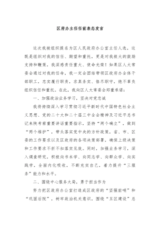 区府办主任任前表态发言
