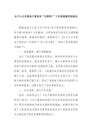 关于大力发展电子商务和“互联网+”工作进展情况的报告