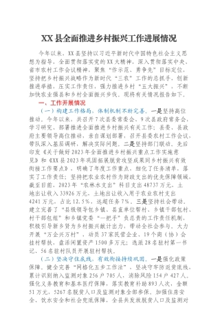 XX县全面推进乡村振兴工作进展情况