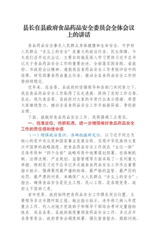 县长在县政府食品药品安全委员会全体会议上的讲话