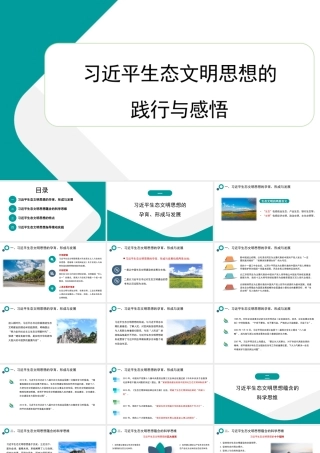 学习贯彻生态文明思想精神心得体会（PPT）