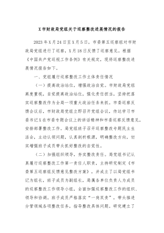 X市财政局党组关于巡察整改进展情况的报告