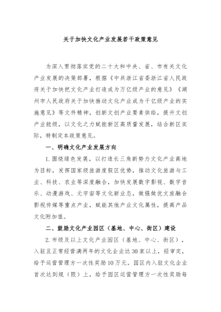 关于加快文化产业发展若干政策意见