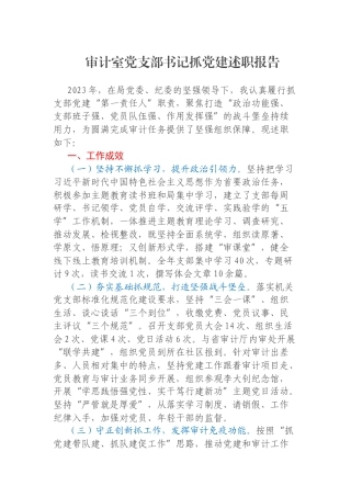 审计室党支部书记抓党建述职报告