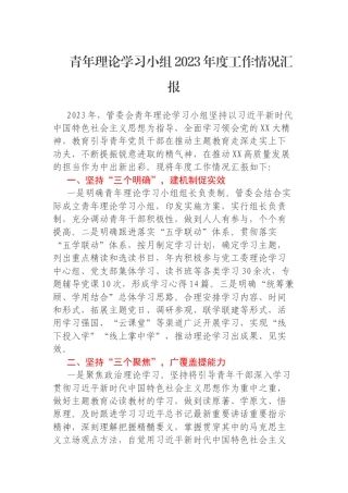 青年理论学习小组2023年度工作情况汇报