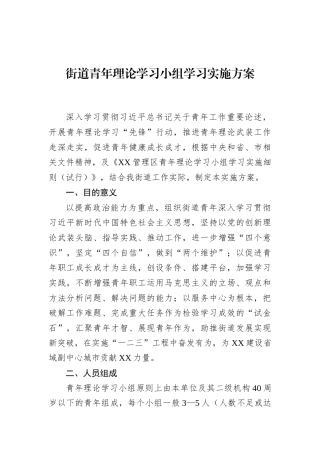 街道青年理论学习小组学习实施方案