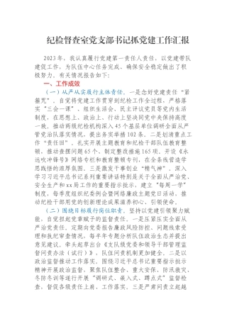 纪检督查室党支部书记抓党建工作汇报