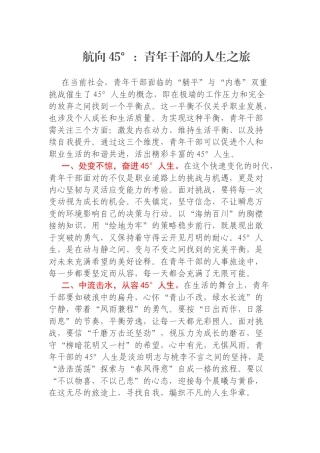 航向45°：青年干部的人生之旅