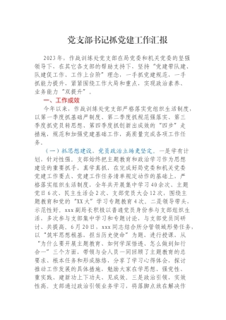 党支部书记抓党建工作汇报