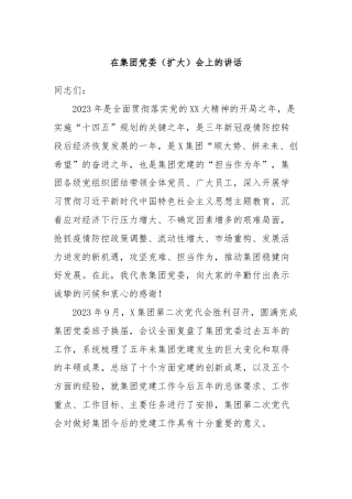 在集团党委（扩大）会上的讲话