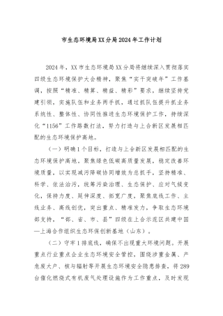 市生态环境局XX分局2024年工作计划