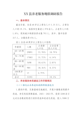 XX县养老服务现状调研报告