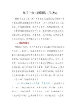 机关干部挂职锻炼工作总结