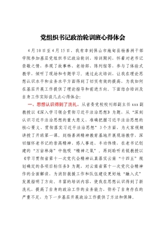 党组织书记政治轮训班心得体会
